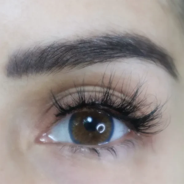 Braune Kontaktlinse Lovely Brownie von Oriental Dream Lenses